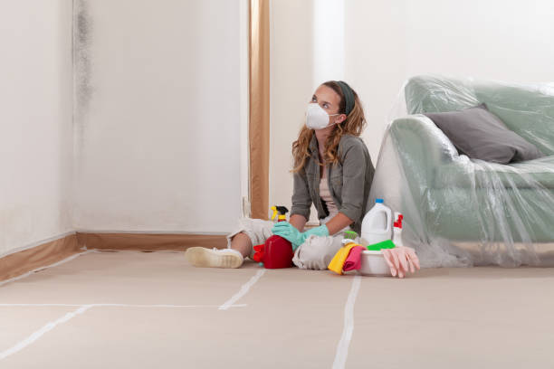 Reliable Mold Remediation contractor in Glen Ridge, NJ by Cheap Mold Removal